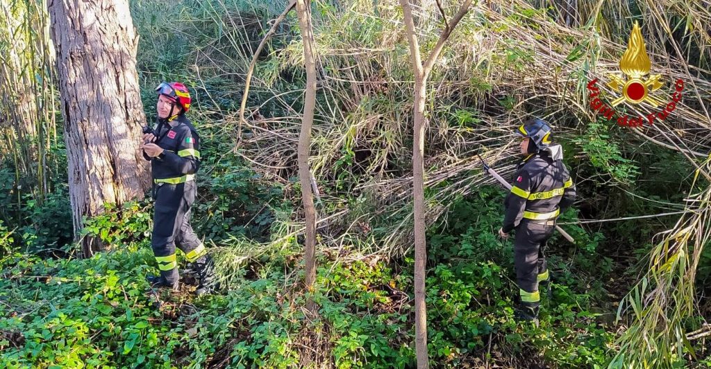 Due cercatori di funghi si perdono nei boschi e vengono ritrovati dai Vigili del Fuoco 1 vigili del fuoco ricerche scomparso 499558