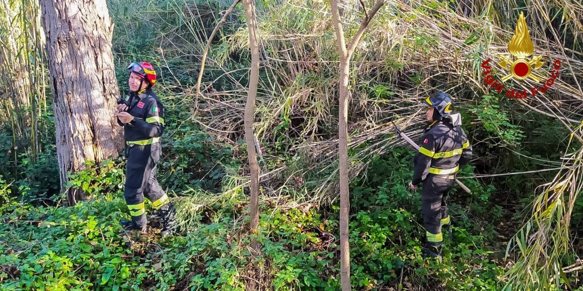 Due cercatori di funghi si perdono nei boschi e vengono ritrovati dai Vigili del Fuoco