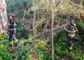 Due cercatori di funghi si perdono nei boschi e vengono ritrovati dai Vigili del Fuoco
