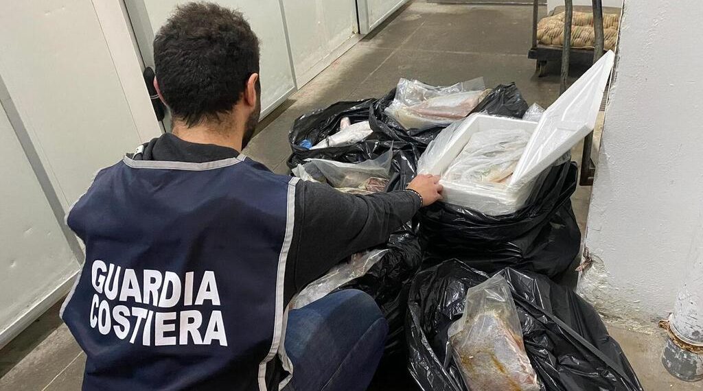 Operazione Talassa della Guardia Costiera, sequestrati 1.500 chili di prodotti ittici privi di tracciabilità