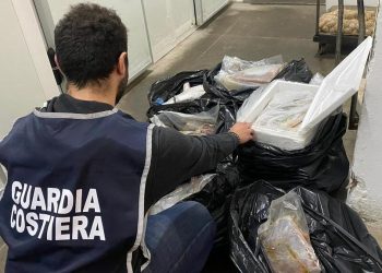 Operazione Talassa della Guardia Costiera, sequestrati 1.500 chili di prodotti ittici privi di tracciabilità