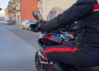 Vibo Valentia, arrestato un consulente del lavoro per spaccio di cocaina