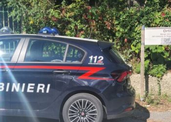 Arrestato un 38enne accusato di furto in una abitazione di Ortì nel reggino