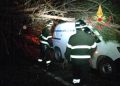 Albero secolare cade sulla strada dei Due Mari nei pressi della voragine e colpisce un furgone
