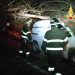 Albero secolare cade sulla strada dei Due Mari nei pressi della voragine e colpisce un furgone