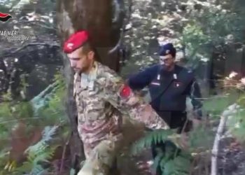 I Carabinieri di Locri hanno arrestato un uomo per coltivazione di canapa indiana e possesso di un fucile