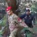 I Carabinieri di Locri hanno arrestato un uomo per coltivazione di canapa indiana e possesso di un fucile 8 I Carabinieri di Locri hanno arrestato un uomo per coltivazione di canapa indiana e possesso di un fucile