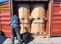 La Guardia di Finanza e l’ADM scoprono 280 kg di cocaina in un container nel porto di Gioia Tauro (VIDEO)