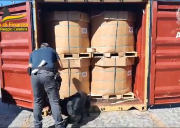 La Guardia di Finanza e l’ADM scoprono 280 kg di cocaina in un container nel porto di Gioia Tauro (VIDEO)