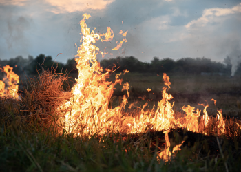 Un secondo arresto per incendio doloso in provincia di Reggio Calabria