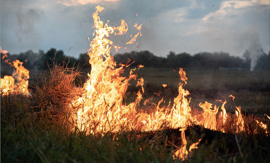 Un secondo arresto per incendio doloso in provincia di Reggio Calabria