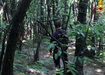 Un altro cercatore di funghi disperso nei boschi dell’Aspromonte