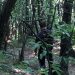 Un altro cercatore di funghi disperso nei boschi dell’Aspromonte