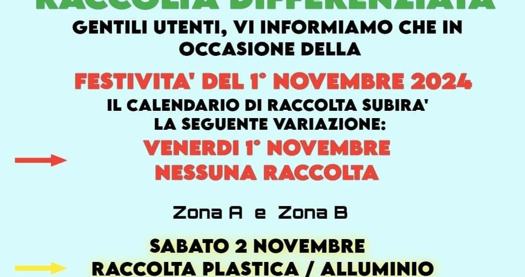 Proliferano gli struzzi a Vibo Valentia. L'amara considerazione dell'ex assessore all'Ambiente Vincenzo Bruni 1 Proliferano gli struzzi a Vibo Valentia. L’amara considerazione dell’ex assessore all’Ambiente Vincenzo Bruni