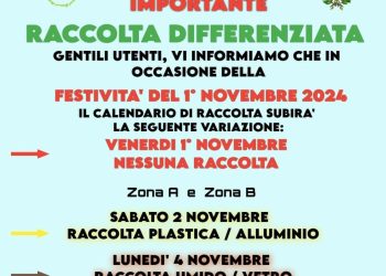 Proliferano gli struzzi a Vibo Valentia. L’amara considerazione dell’ex assessore all’Ambiente Vincenzo Bruni