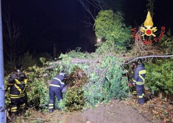 Forti raffiche di vento imperversano in Calabria, numerosi interventi dei vigili del fuoco
