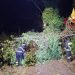 Forti raffiche di vento imperversano in Calabria, numerosi interventi dei vigili del fuoco