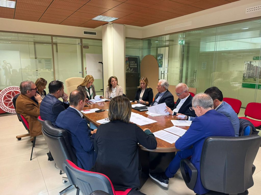 Regione Calabria Riunione Sistemi biblliotecari 1