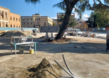 Non si uccidono così anche i cavalli… e nemmeno gli alberi di cedro!?