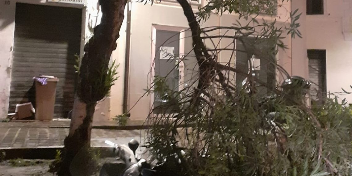 Maltempo nel Catanzarese: alberi caduti e traffico bloccato si alcune arterie