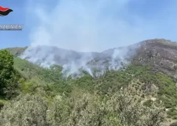 I Carabinieri denunciano un piromane a Melito Porto Salvo