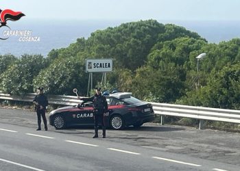 Traffico di droga e detenzione di armi nel Cosentino, 4 arresti (VIDEO)