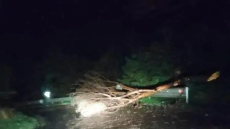 Maltempo nel Catanzarese: alberi caduti e traffico bloccato si alcune arterie 4 f78b1bf6 6bc0 45be b20f 85644b0a0a97 EVIDENZA 4fc47f4a e584 4110 9ab3 ef19a0dfb67c 467644019 969966908492122 8363190599686820316 n