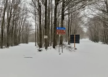 …e la neve arriva anche in Calabria! Primi fiocchi già oltre i 1.000 metri. Spettacolare nevicata in Aspromonte (VIDEO)