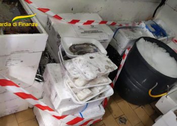 400 chili di prodotti ittici sequestrati a Crotone