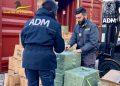 Fuochi pirotecnici illegali, maxi sequestro nel porto di Gioia Tauro (VIDEO)