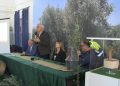 “Oro da bere”, a San Gregorio d’Ippona per valorizzare la produzione dell’olio extravergine d’oliva IGP (VIDEO)