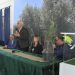 “Oro da bere”, a San Gregorio d’Ippona per valorizzare la produzione dell’olio extravergine d’oliva IGP (VIDEO)