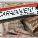 Sequestrati dai Carabinieri vibonesi 150 chili di prodotti pirotecnici senza le dovute autorizzazioni 11 Sequestrati dai Carabinieri vibonesi 150 chili di prodotti pirotecnici senza le dovute autorizzazioni