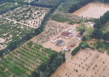 Limardo e Scalamogna contro Romeo: chiede la sospensione di un provvedimento che va a beneficio della città!