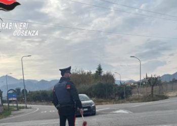 Arrestati i responsabili dell’incendio di tre auto a Lungro