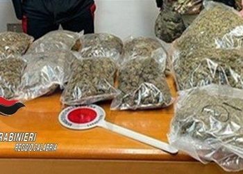 I Carabinieri trovano in un casolare 11 sacchi di marijuana e 50 cartucce