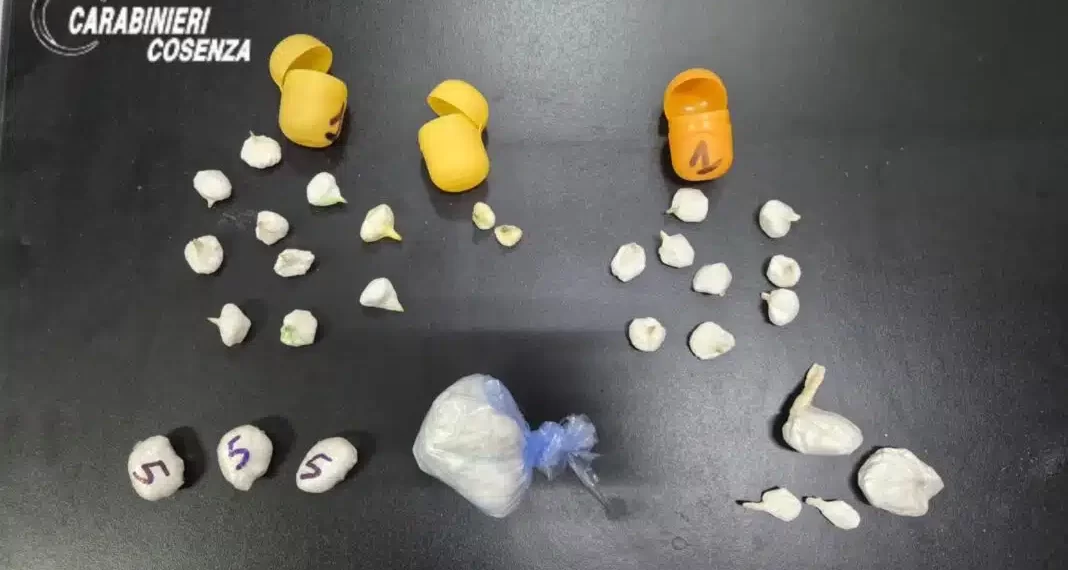 Due arresti per droga a Bonifati