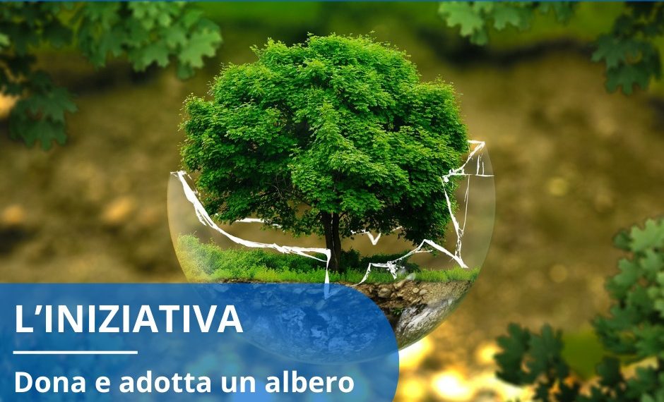 Vibo Valentia, domenica saranno piantumati 5 nuovi alberi in via XXV aprile