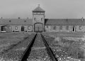 Auschwitz-Birkenau 80 anni dopo! Tutte le volte che si fa finta di non vedere o non udire diventiamo conniventi