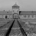Auschwitz-Birkenau 80 anni dopo! Tutte le volte che si fa finta di non vedere o non udire diventiamo conniventi