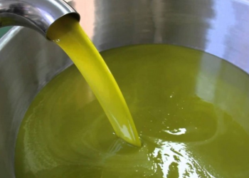 Coldiretti Calabria: bene il Piano Olivicolo Regionale ma allarme speculazione con invasione di prodotto tunisino low-cost