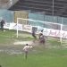 Calcio, un tuffo nel pantano regala la vittoria al Sambiase. La Vibonese sempre più lontana dalla vetta (VIDEO) 9 Calcio, un tuffo nel pantano regala la vittoria al Sambiase. La Vibonese sempre più lontana dalla vetta (VIDEO)