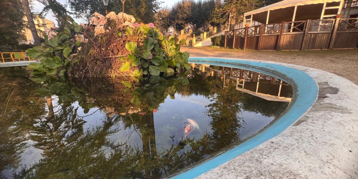 Degrado e abbandono imperversano nella storica Villa Comunale dedicata a Nazzareno Cremona (foto) 1 Degrado e abbandono imperversano nella storica Villa Comunale dedicata a Nazzareno Cremona (foto)