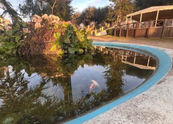 Degrado e abbandono imperversano nella storica Villa Comunale dedicata a Nazzareno Cremona (foto) 4 Degrado e abbandono imperversano nella storica Villa Comunale dedicata a Nazzareno Cremona (foto)