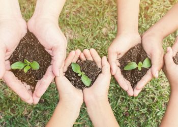 Il Consiglio regionale ha approvato la legge sull'agricoltura sociale 4 Il Consiglio regionale ha approvato la legge sull’agricoltura sociale