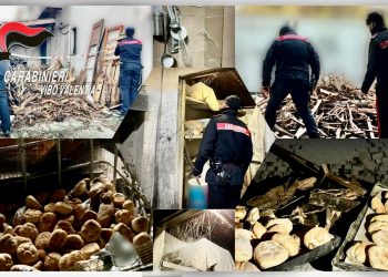Un panettiere di Vibo Marina non rispetta la sospensione dell’attività, quindi viene denunciato