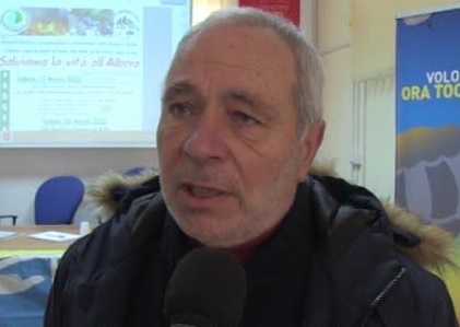 domenico pitimada