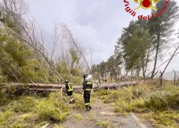 La tempesta Gabri ha attraversato la Calabria lasciando parecchi danni (in aggiornamento)