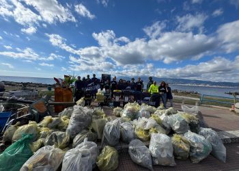 Nel 2024 rimosse in Calabria 45 tonnellate di plastica e rifiuti grazie a Plastic Free Onlus 