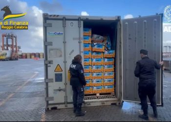 Scoperto un nuovo traffico di droga nel porto di Gioia Tauro (VIDEO)